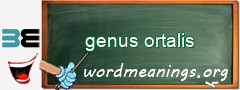 WordMeaning blackboard for genus ortalis